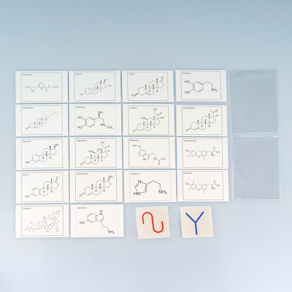Hormonkarten
