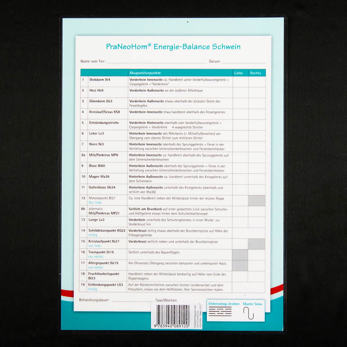 Akupunktur-Tafel Schwein – Bild 2