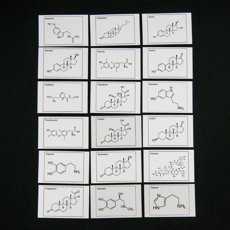 Hormonkarten – Bild 3