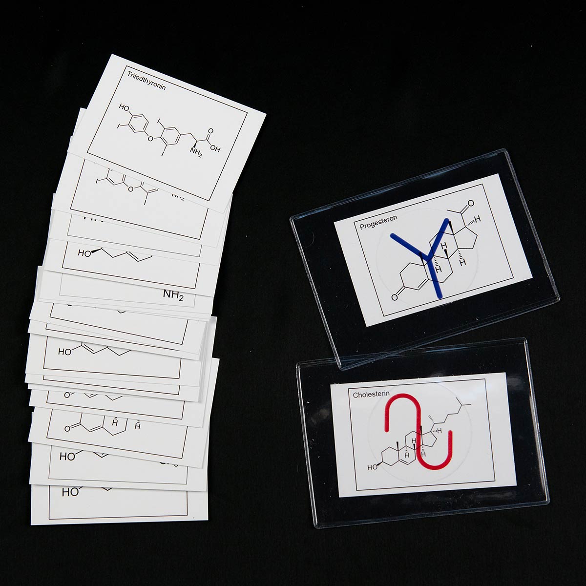 Hormonkarten – Bild 2